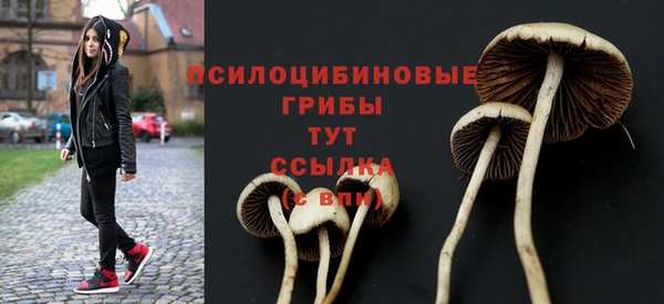 ПСИЛОЦИБИНОВЫЕ ГРИБЫ Видное