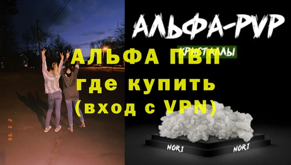 ПСИЛОЦИБИНОВЫЕ ГРИБЫ Видное