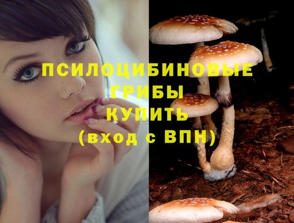 дистиллят марихуана Богданович