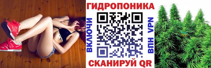 дарнет шоп  Гороховец  Конопля Bruce Banner 